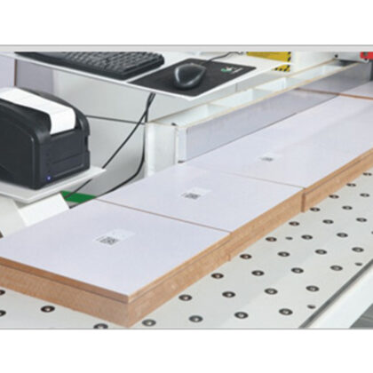 Panel Saw Cutting Machine